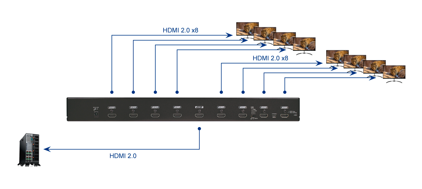 8 Ports True 4K HDMI Video Splitter with EDID Copy