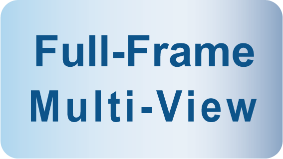 Full-Frame Multi View